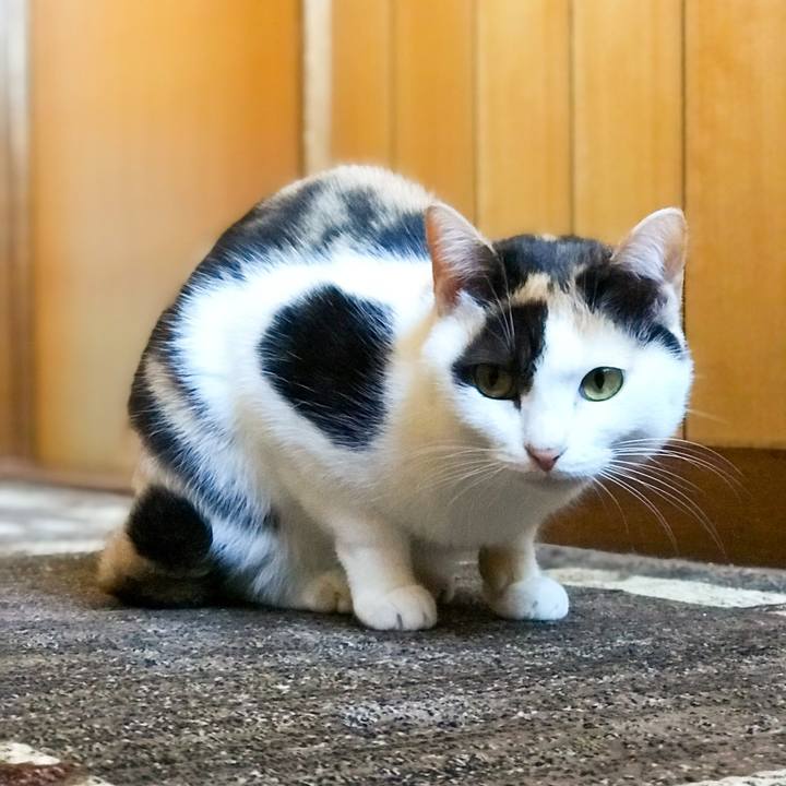 7bfd5838 e045 404f 910e e2ad0dfab72f 1512568611608