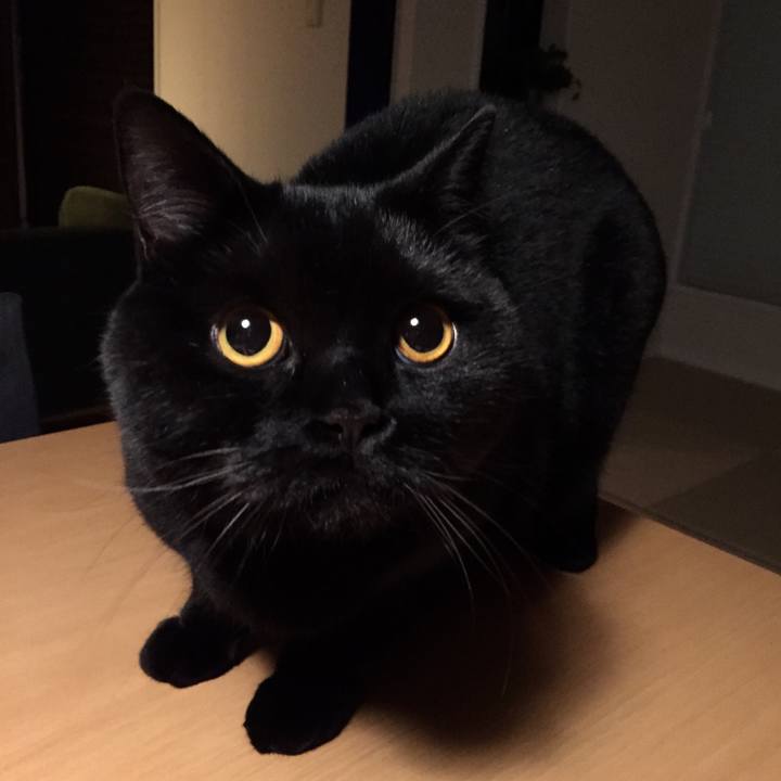 7bfd606c b902 475e 869e 88cbbae6f957 1554812471983