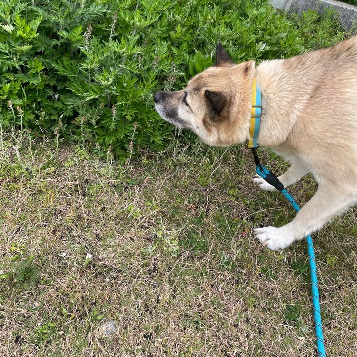 7bfd9cec ce47 4e67 b0fb ca9f0b25deb4 1682341081072