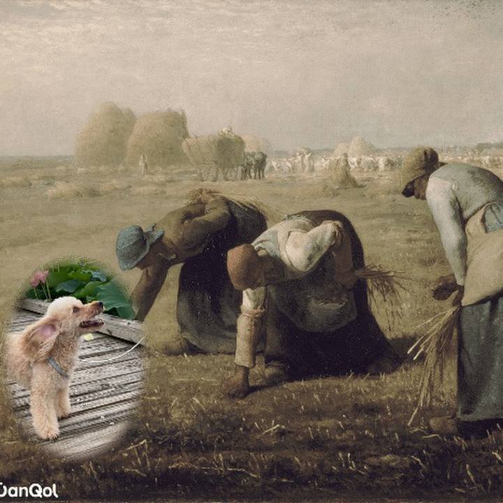 7bfdb454 04c9 4f8a a439 e6fe6cc7e428 1635935202146