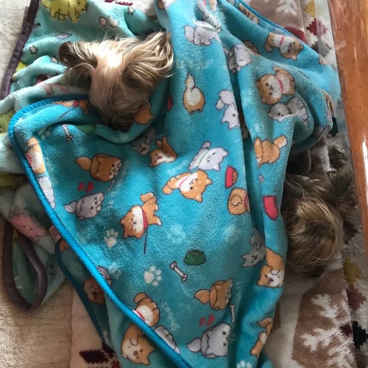 7bfdd1ce 8ec3 46b9 a81b 604d2a0ab4dc 1635585953907