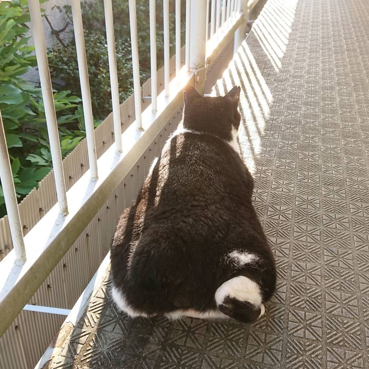 7bfdfd83 94e3 4355 9d0c 06df5da7cd03 1612828714462