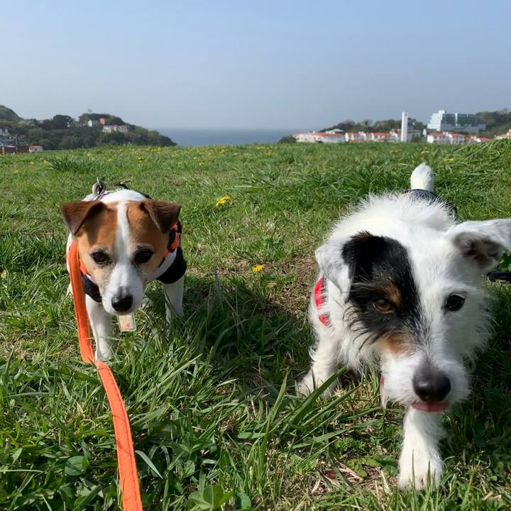 7bfe2979 8401 4b4b 863e b9bc79602f28 1617150636932