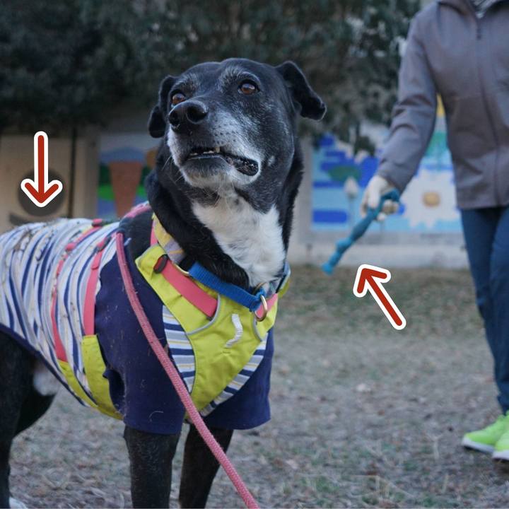 7bfe6dbc ca50 43d8 ad63 0a2fc63058d1 1769127936461