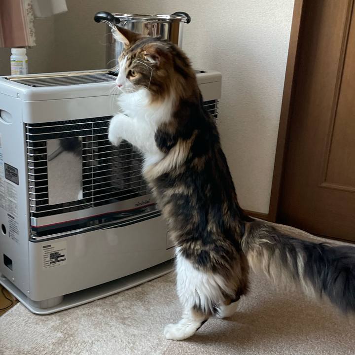 7bfe7625 e800 48ca a5eb b62323b68886 1644644903154