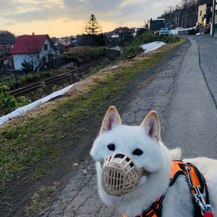 7bfe7f48 c69b 4fb1 adcd 41226d9af569 1618003259637