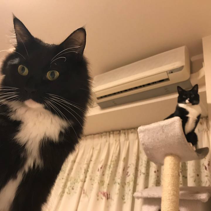 7bfe9335 28b3 43fd 8845 cc02c197d608 1521253546282