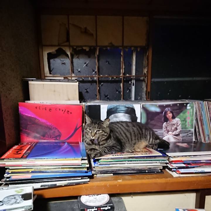 7bfe996c 1443 4844 8f9a 8de1079cc483 1659521448963