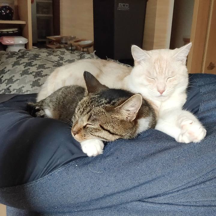 7bfef4e7 4e26 4e41 a6fa b95419ab1c50 1658470242216