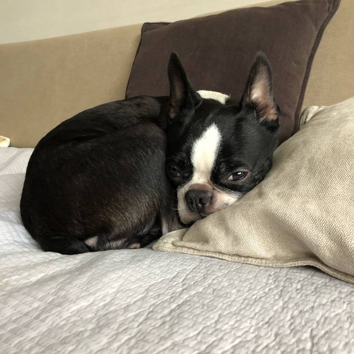 7bff0e81 5758 44e2 a069 a14dd4fe61f6 1612766249546