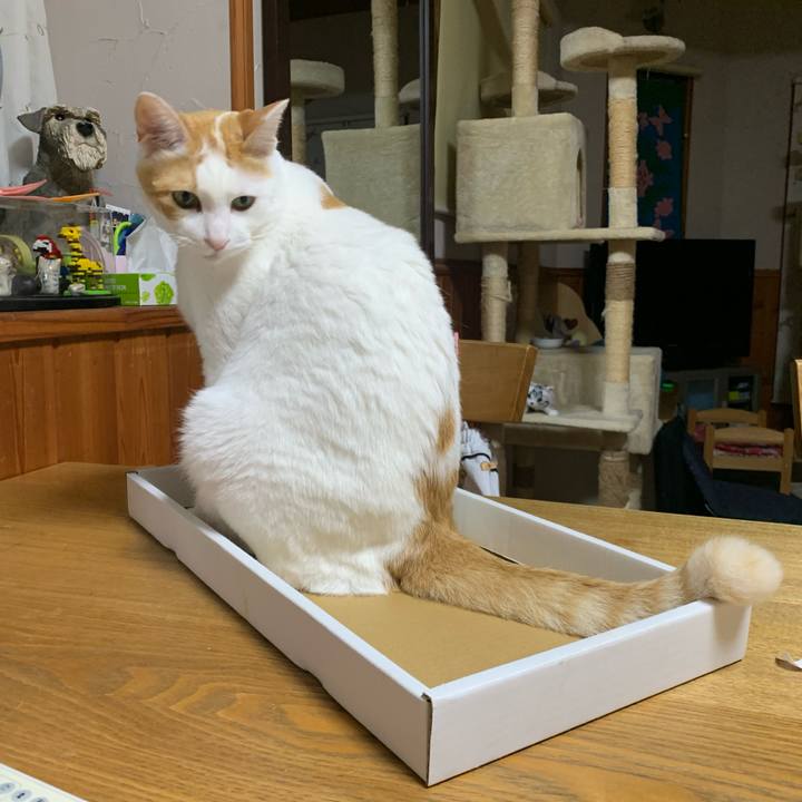 7bff9b98 6e6e 4d75 bc85 b8983d262d56 1592833849334