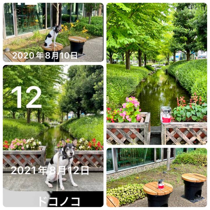 7bffb7f9 ac73 4442 bac7 cc1d6195a680 1660348930820