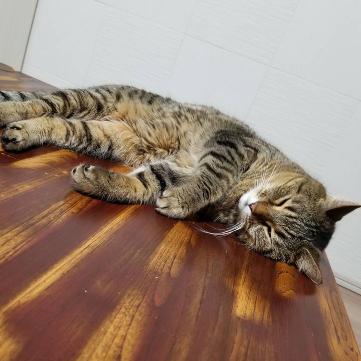 7bffc058 1699 42d0 a108 e42fe19cafe8 1601415642014