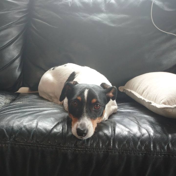 7bffc4d0 eed5 4546 8765 4979aaa47426 1631422493393