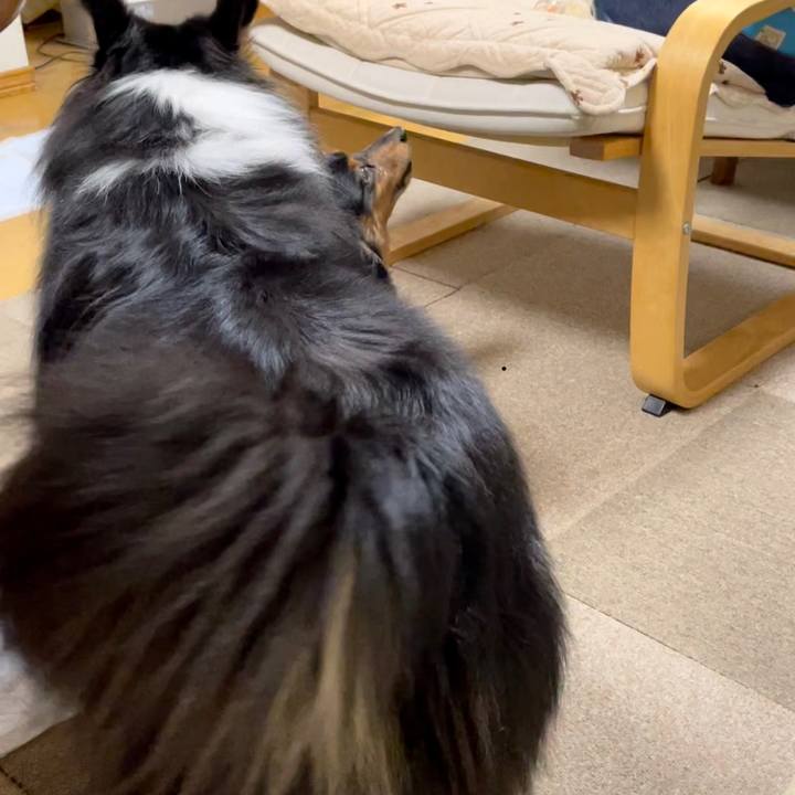 7c00093d 3215 4d83 8024 2b74efbdca00 1611913328723