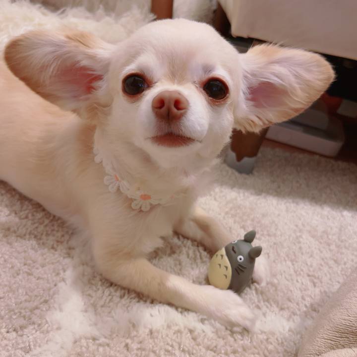 7c005a43 8b6d 4029 a3dd 76018fd10085 1757767237697