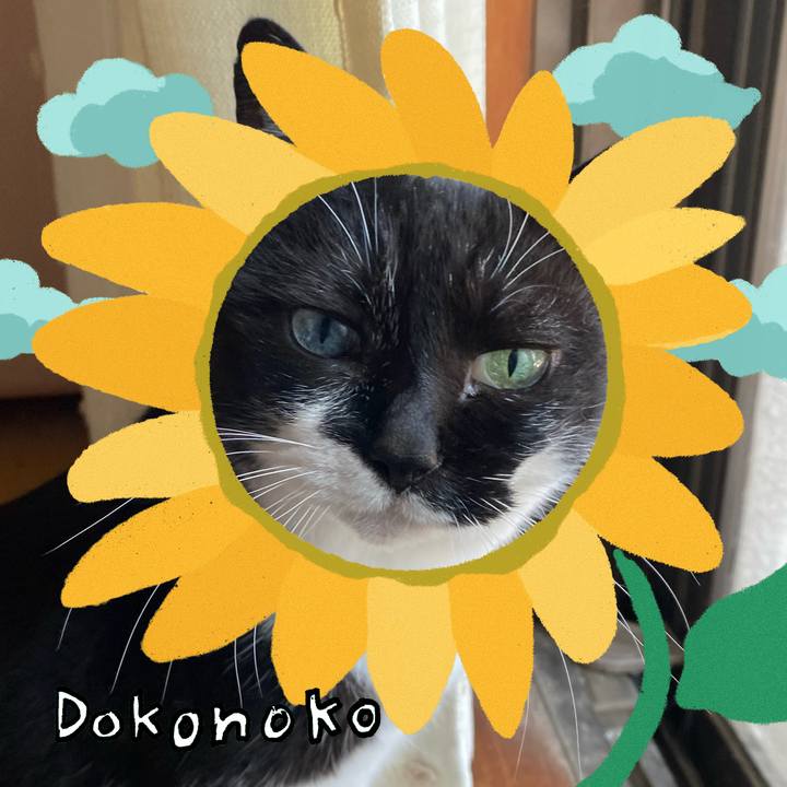 7c006063 4dba 48ed 9130 5c2fc58a532e 1723663163971