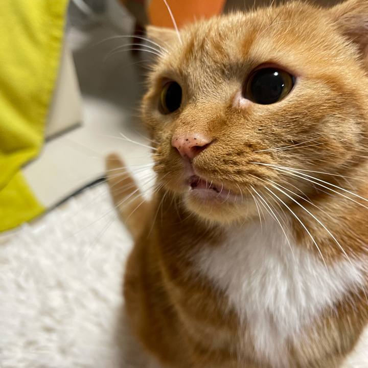 7c007da3 56a7 45f6 8ac1 82f951d4146d 1624280164911