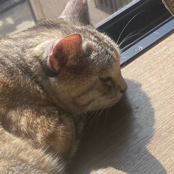 7c009c8a c338 4678 9b1c d69af2e13bdc 1728873408554