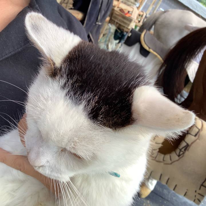 7c00af4a 7d79 4abb 910d 19af393f364f 1630812066765