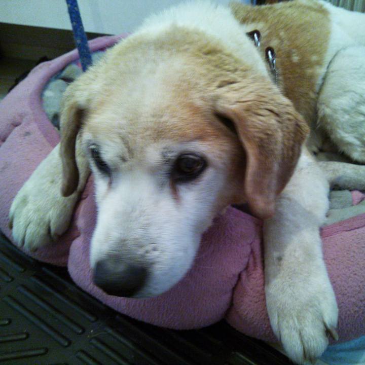 7c00df36 231a 4586 a120 60a571966f05 1565677227905