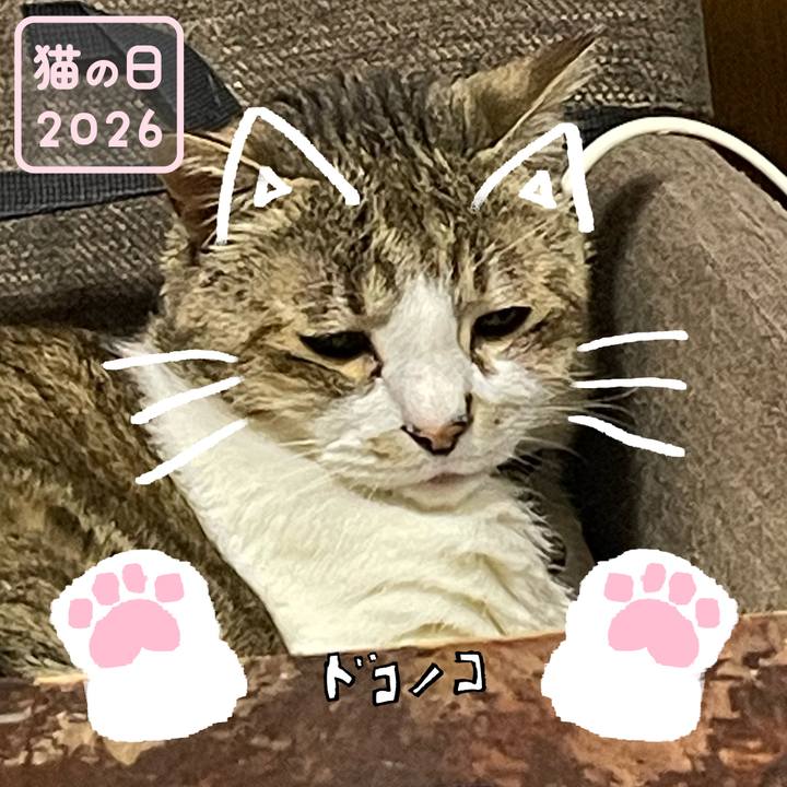 7c00fd89 db4e 48c1 b99a 609f8b46963b 1771771177654