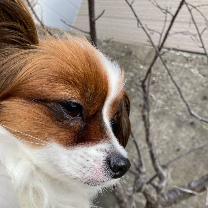 7c01440b d045 4abe 81f3 fdda9c3ade4b 1648711161319