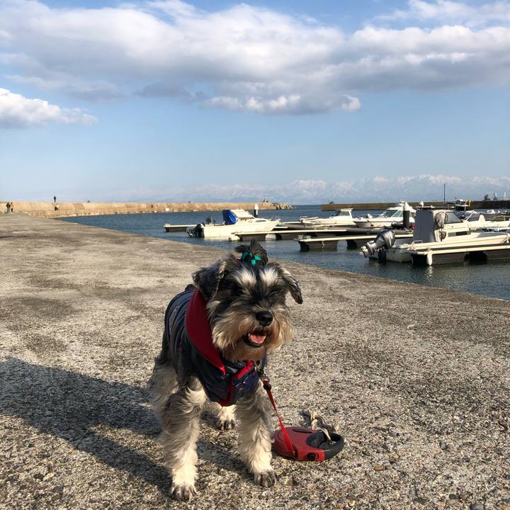 7c015bc7 d208 4e52 bc5e 730efdfd9d11 1612619942708