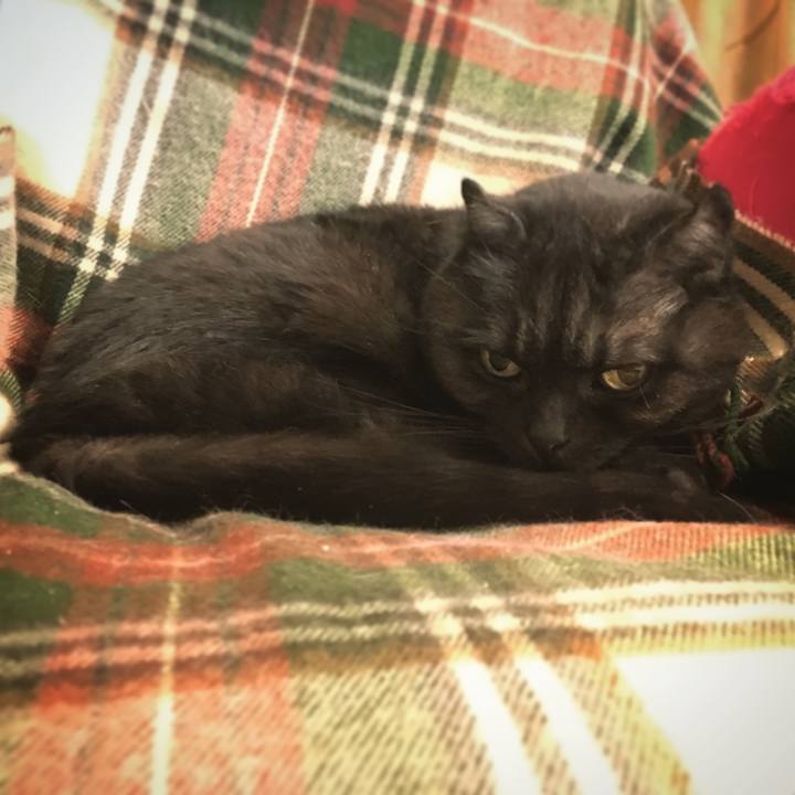 7c0166a0 ae86 4c5f af12 cd928ed5c3ec 1520894240923