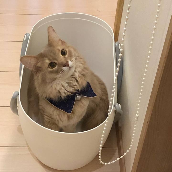 7c01879d 6772 4a8d 9251 78ff28d59518 1644650885348