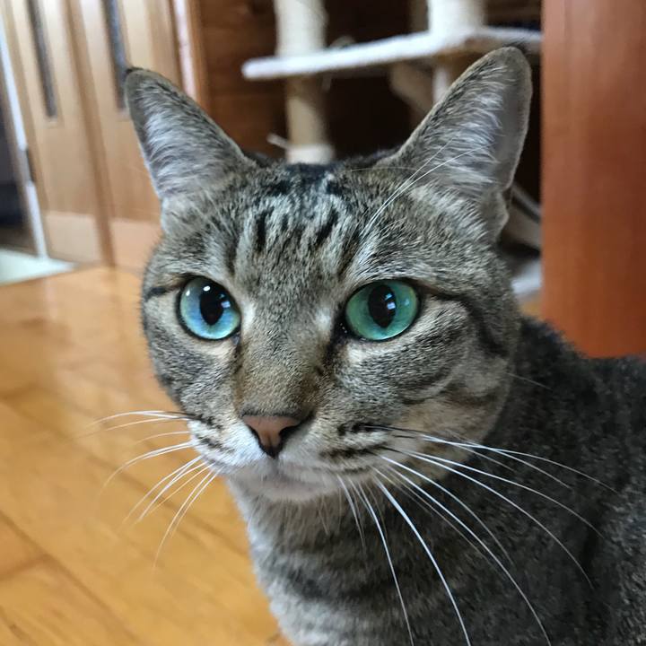 7c018fa7 36b3 4481 94be a5e45d735121 1530590992386