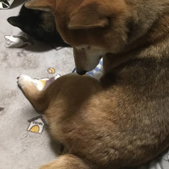 7c01b714 8c1a 4423 9b16 dc51881e9b60 1612439050737