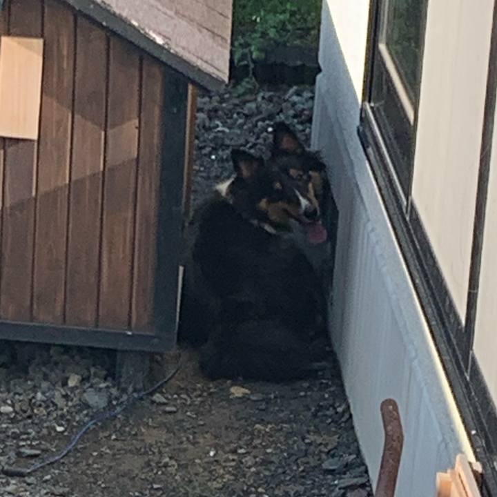 7c02134e 520c 4dfd 9f55 9425081bcc05 1568674232441