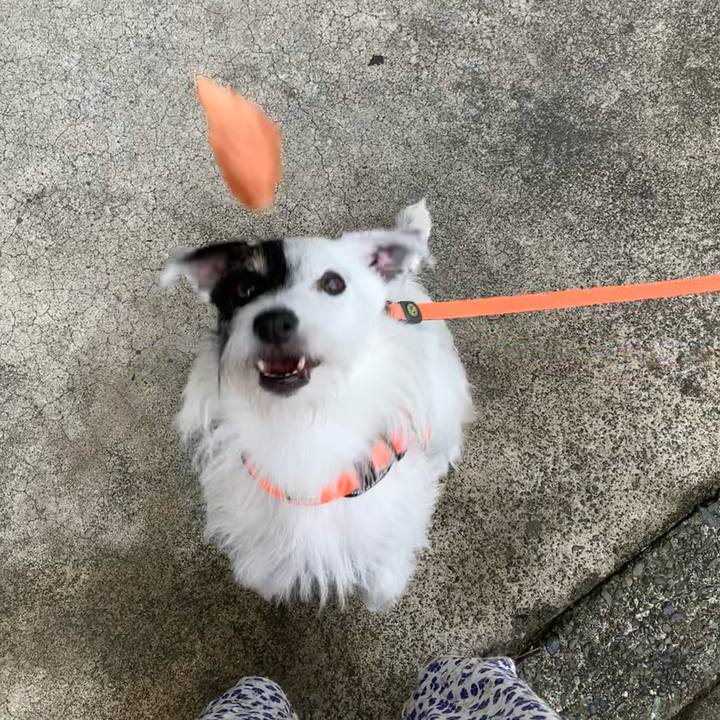 7c022944 e9e5 4d84 8dbc 96dab2e07282 1691362163948