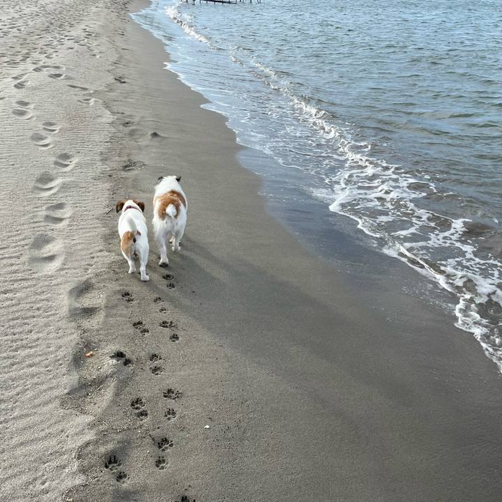 7c024947 bcce 4ac6 b628 0cff50fe9d3c 1633909541608