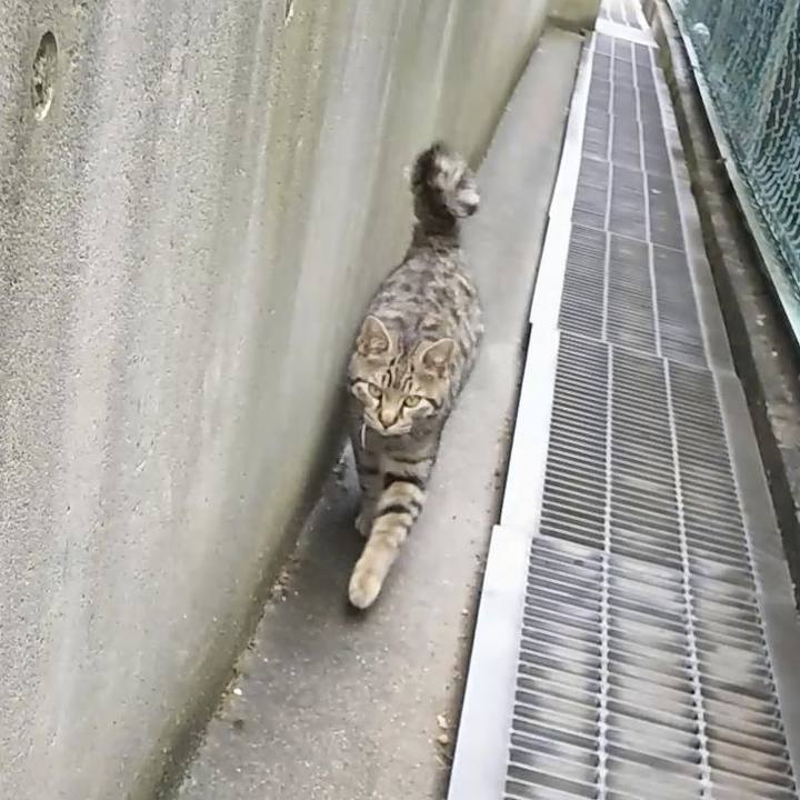 7c026b70 e483 4e3f 9ede adf93fac88bc 1556074021550