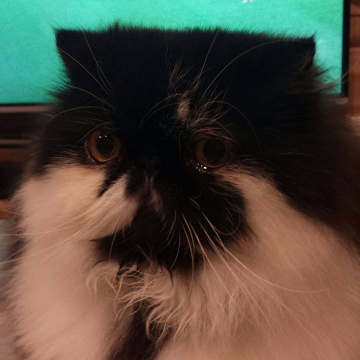 7c027fa1 d0ab 4b5b b133 cafdc00452ec 1512816726799