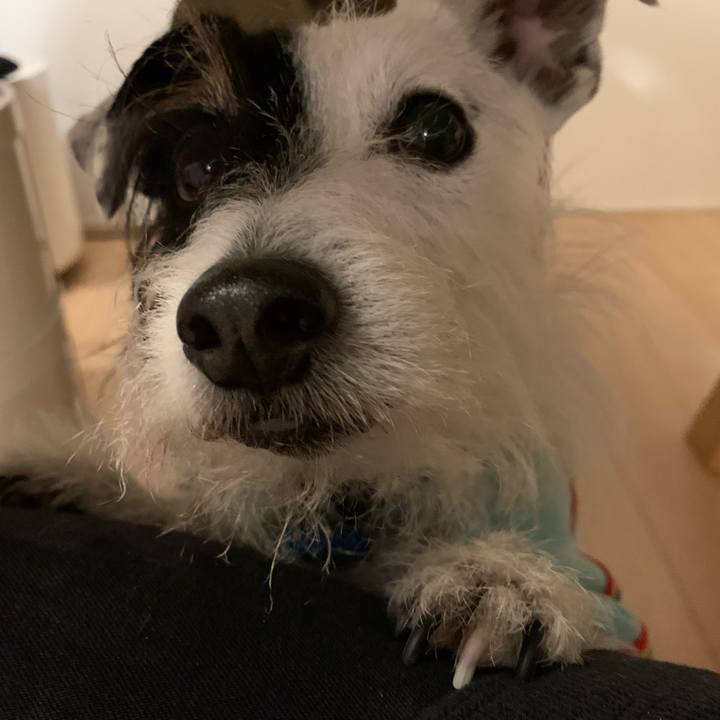 7c02bc52 cba9 4f41 82d8 c0f4ddd65b69 1642763942842