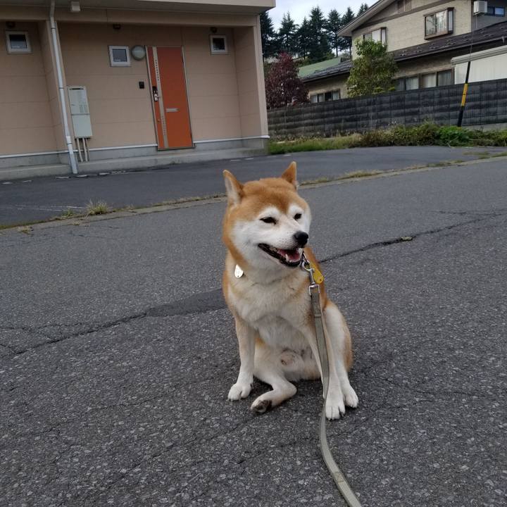 7c02d878 44d6 4592 b481 df3625685508 1571810023793