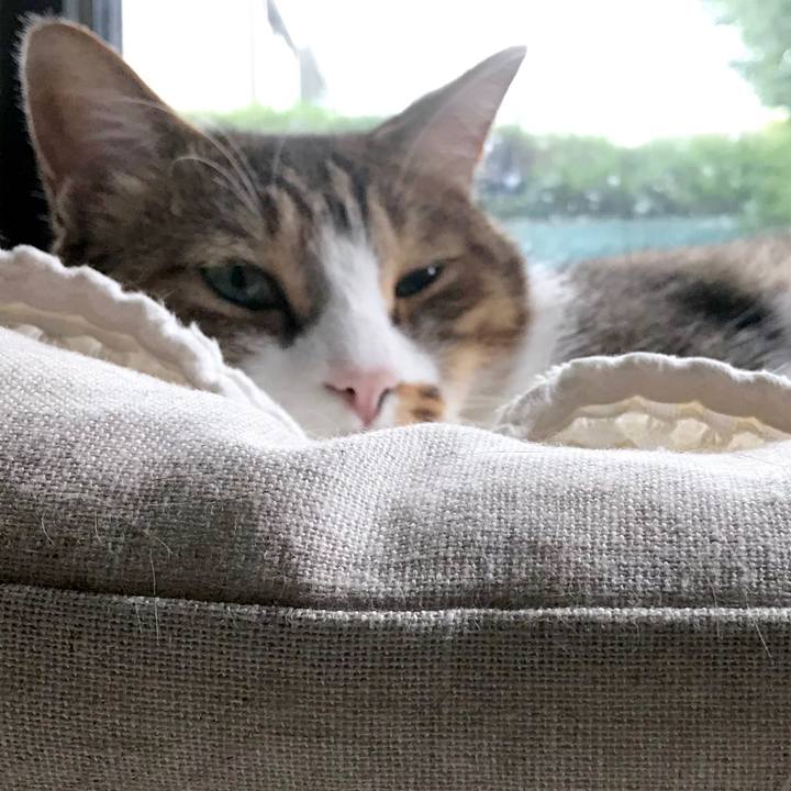 7c02dc29 19f7 4fe5 89ce 2a024988e976 1538104435558