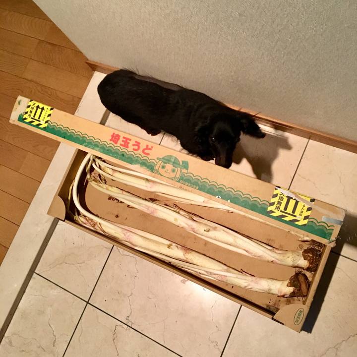 7c02e52c 7ba7 4108 a587 3dd29a2502f0 1521596069415