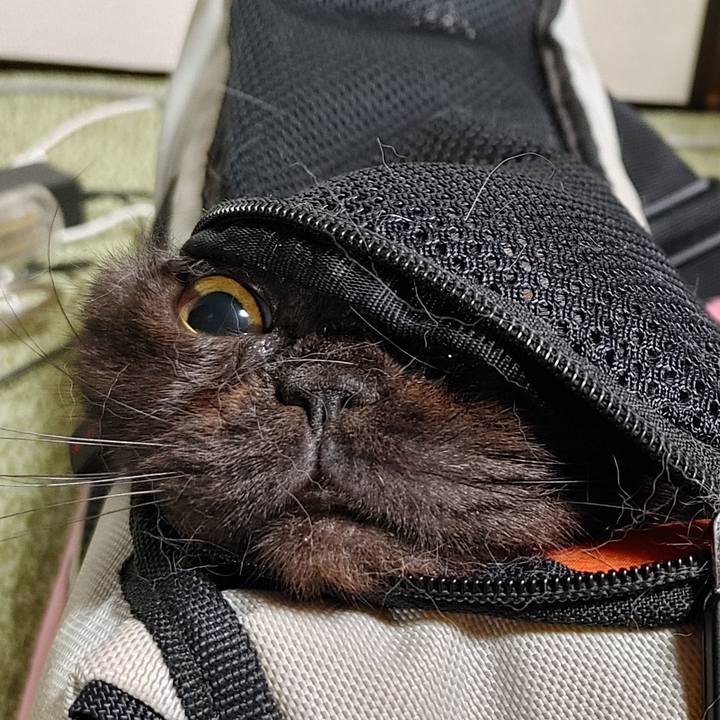 7c02eb0f 666c 4a8e 9f01 36189418f7f1 1629549655656