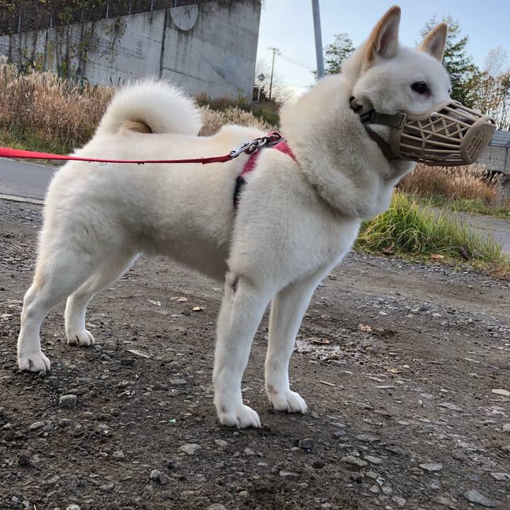 7c033334 d1c8 4fc5 af76 b50dafd43b44 1573455020354