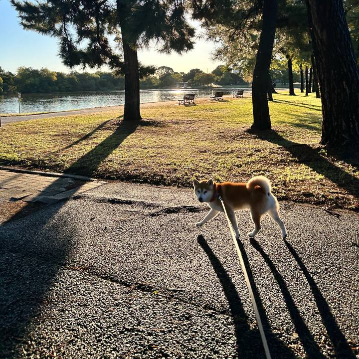 7c036fe5 8242 4288 a5fc ad27325a2590 1761968970437