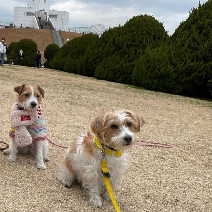 7c03c55e 908f 4f34 b345 c47ed6052b7b 1732933287314