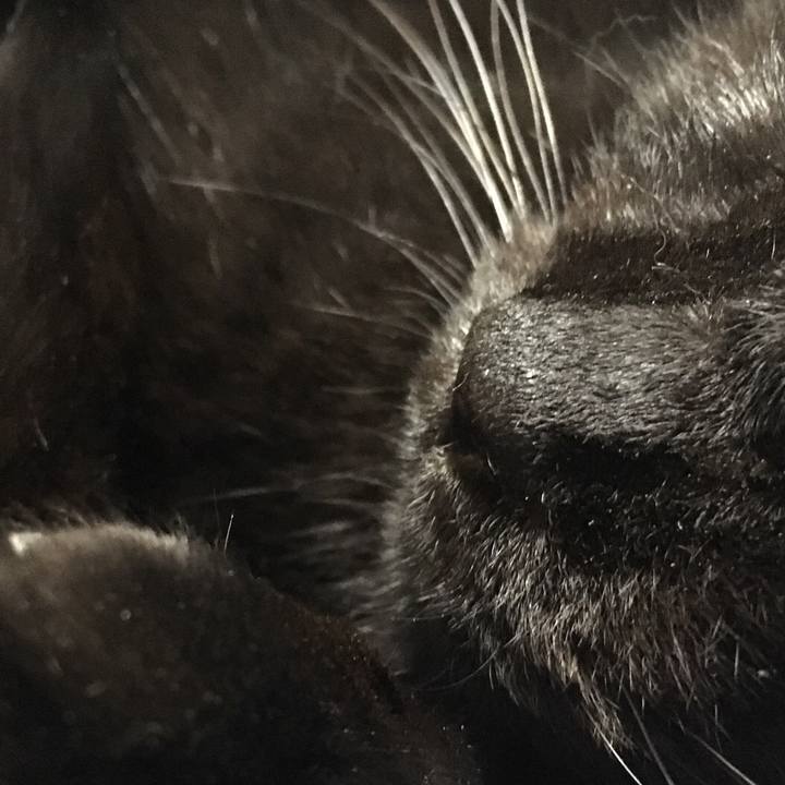 7c03c811 ad84 4534 b13d 3280918fd7dc 1539523231348