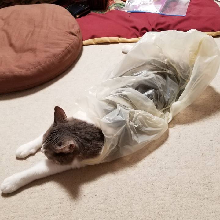 7c03c839 acf1 45c3 b88a ff32daddbe35 1545570523572