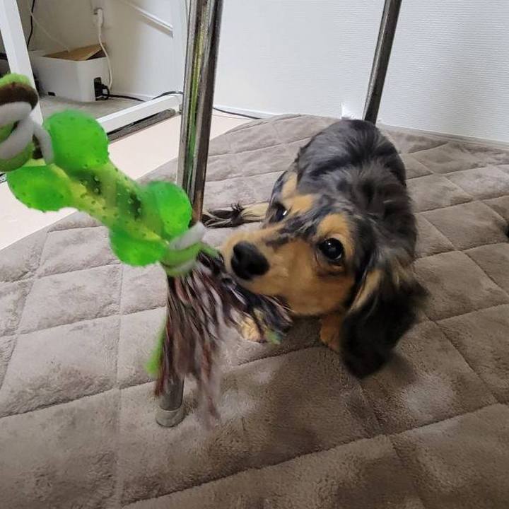 7c03dbe4 0fe4 49ce b129 e0ff814c8b60 1704449327269