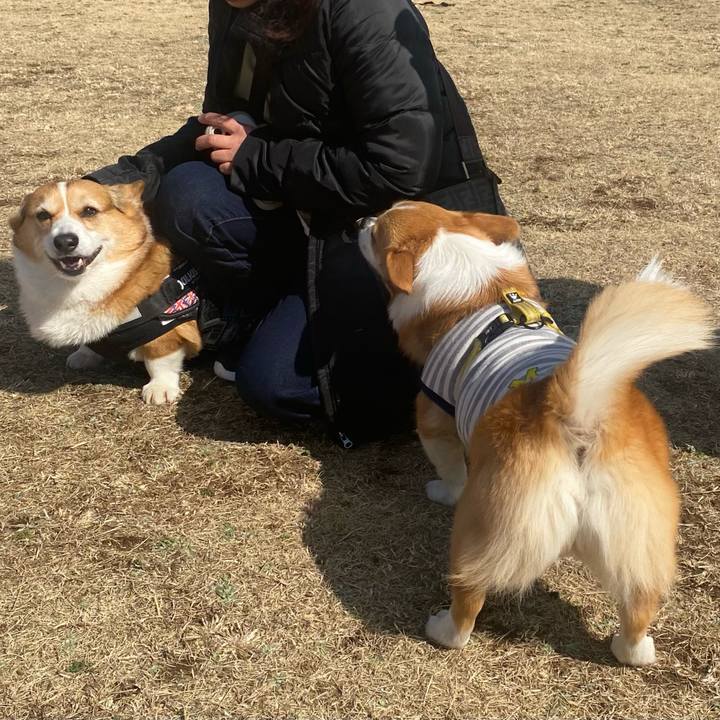 7c042e10 9493 44f5 882b ed92e9625e6d 1709128525220