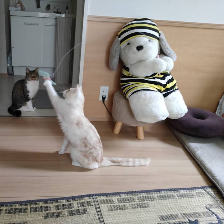 7c043a9b 3af0 46bc a3f8 65e29c3e4593 1654658153578